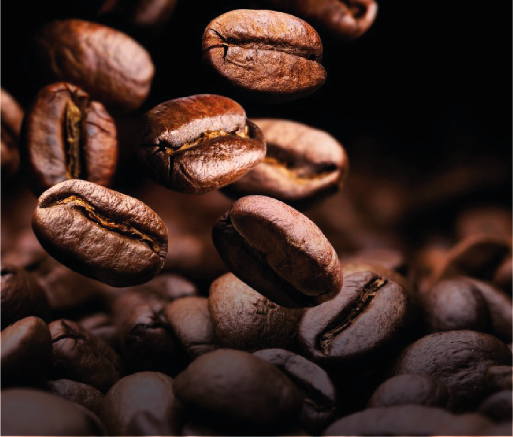 Description de l'image 2