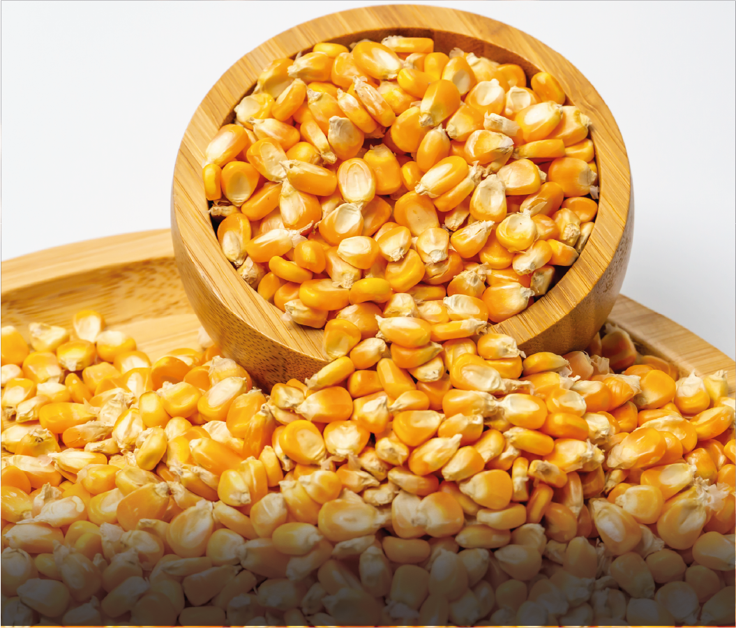 Description de l'image 6