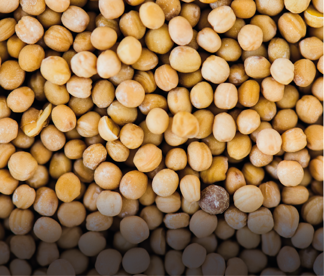 Description de l'image 7