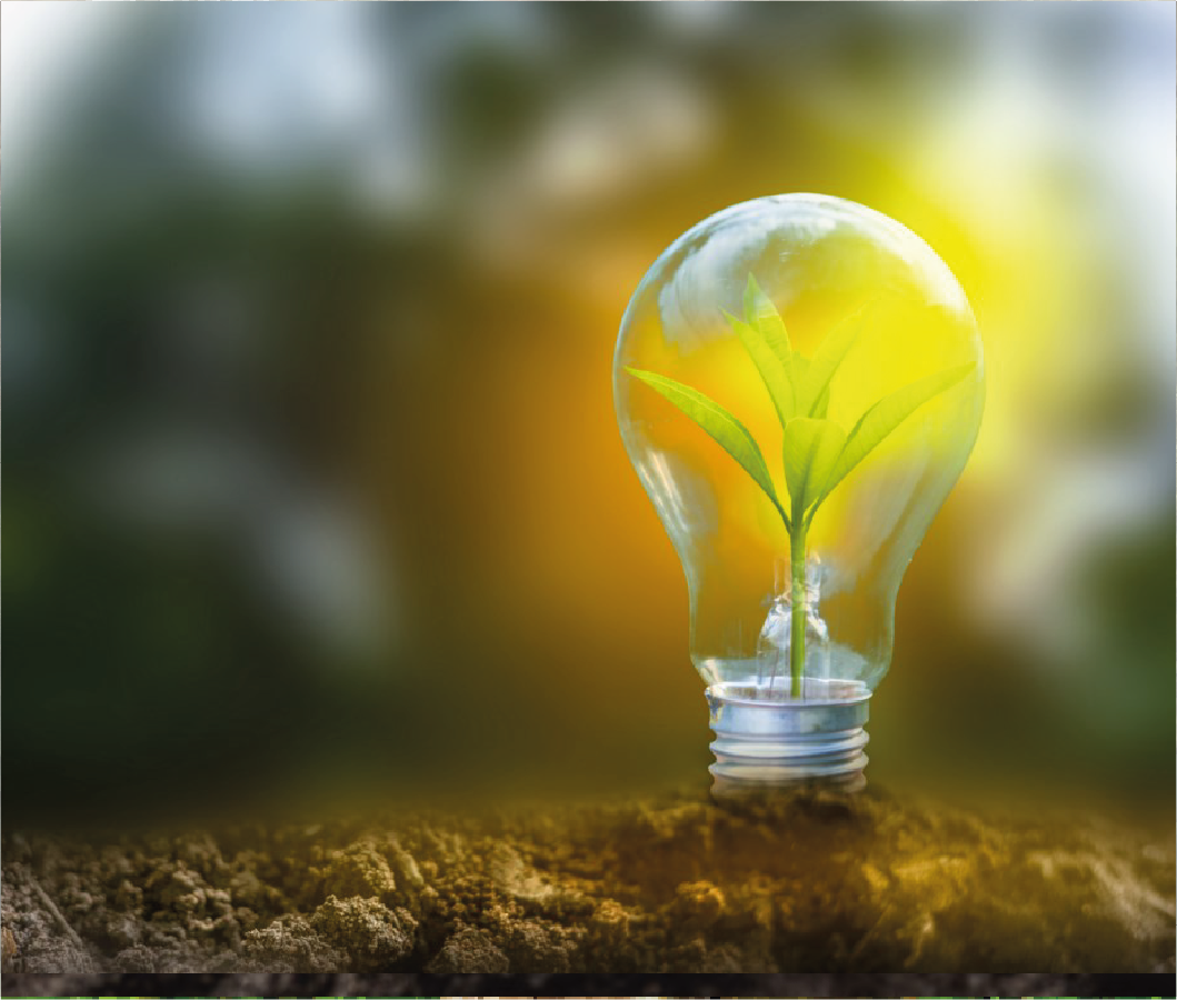 Description de l'image 6